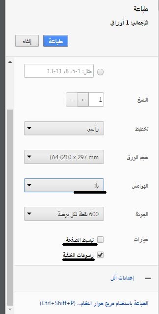 تحسين إعدادت الطباعه بالمتصفح8 | برنامج البدر للمبيعات